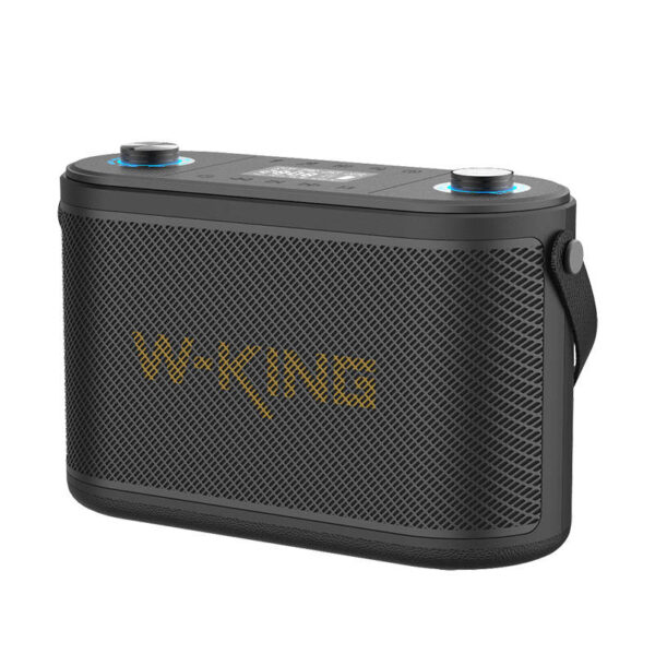 Głośnik bezprzewodowy Bluetooth W-KING H10 120W (czarny) - obrazek 3